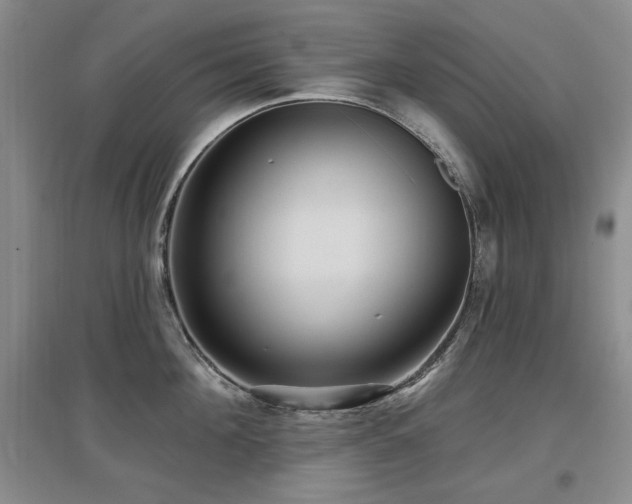 X0000097650908200802291447