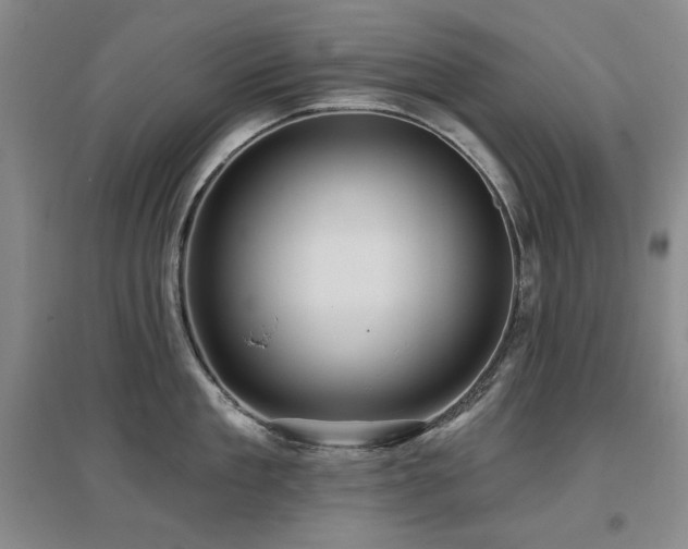 X0000097650909200802291447