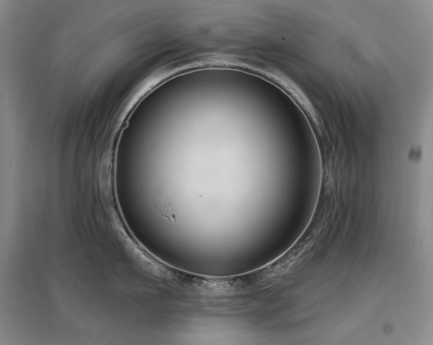 X0000097650911200802291447