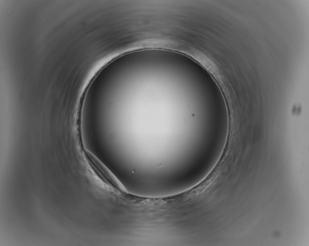 X0000097650912200802291447