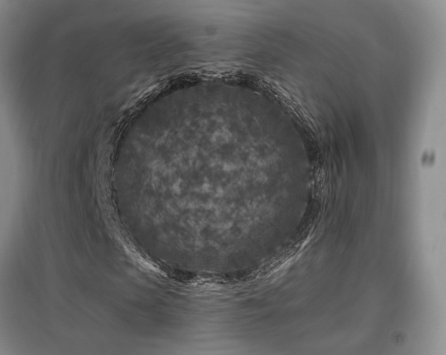 X0000097650913200802291446