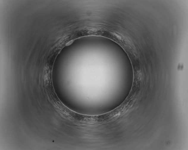 X0000097650914200802291446