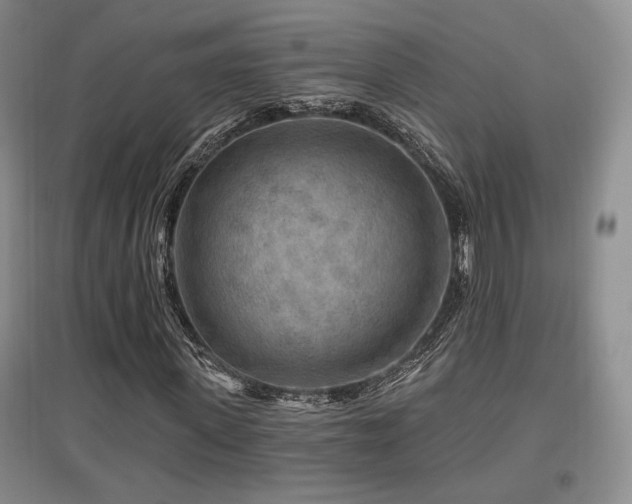 X0000097650915200802291446