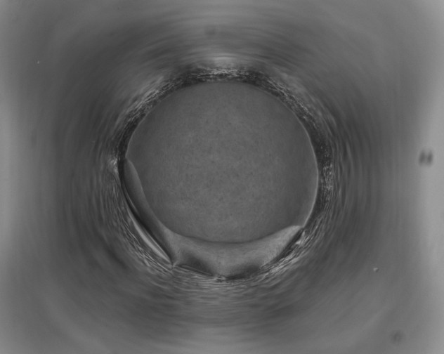 X0000097650916200802291446