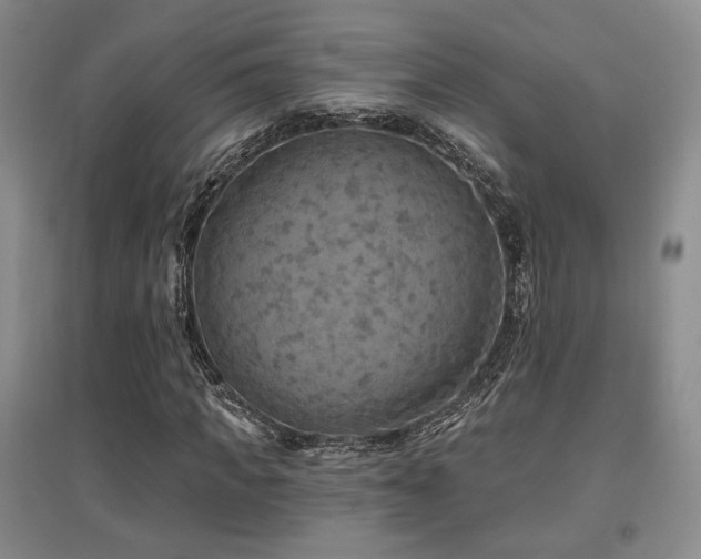 X0000097650917200802291446