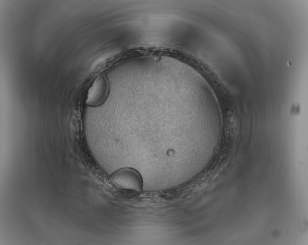 X0000097650918200802291446