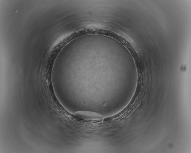 X0000097650919200802291446