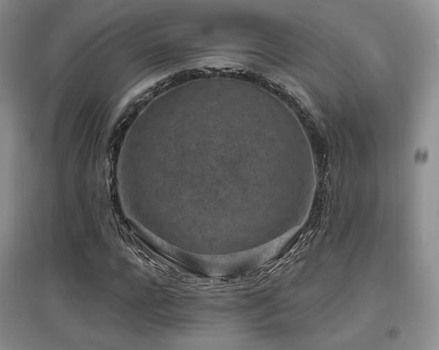 X0000097650920200802291446