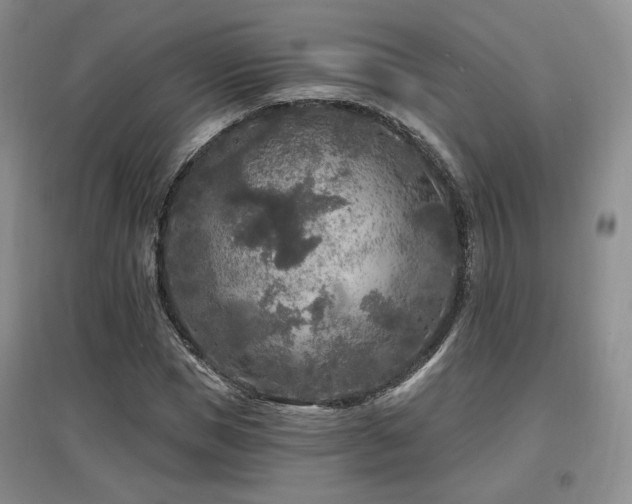 X0000097650921200802291446