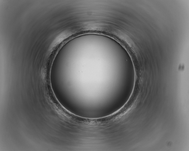 X0000097650922200802291446