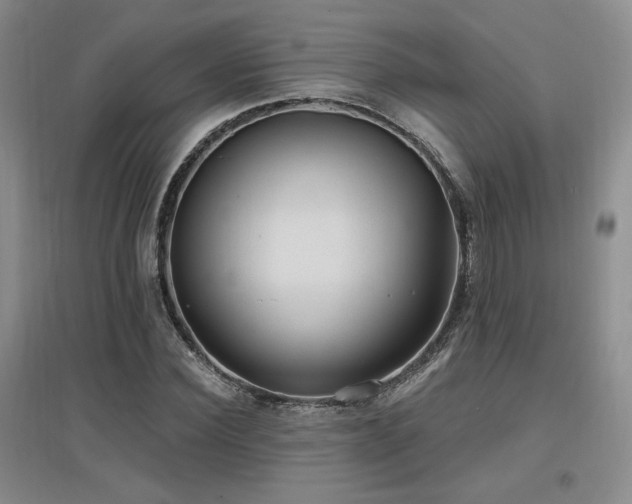 X0000097650924200802291447