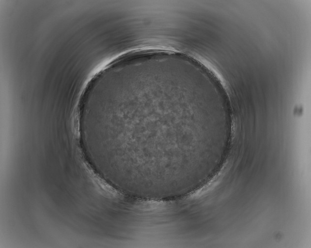 X0000097650925200802291447