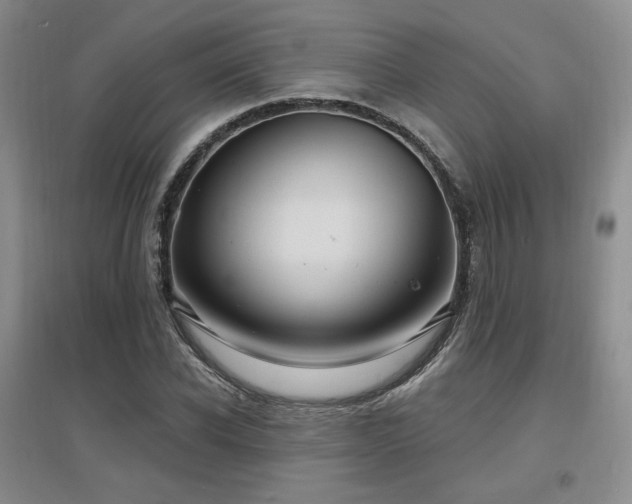 X0000097650926200802291447