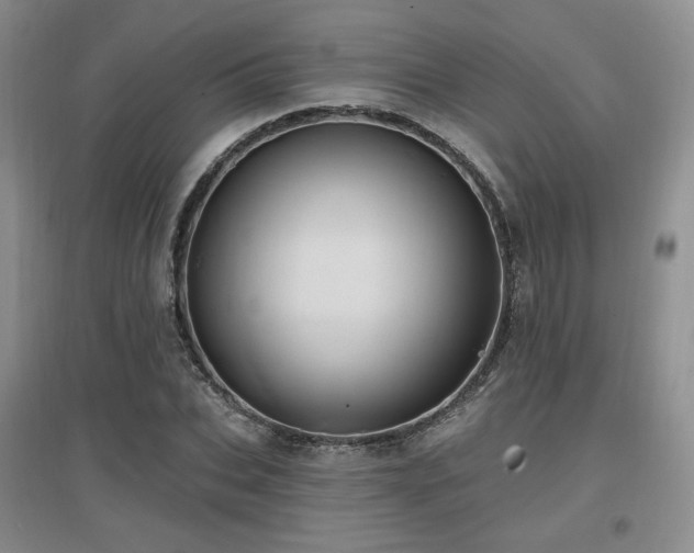 X0000097650927200802291447