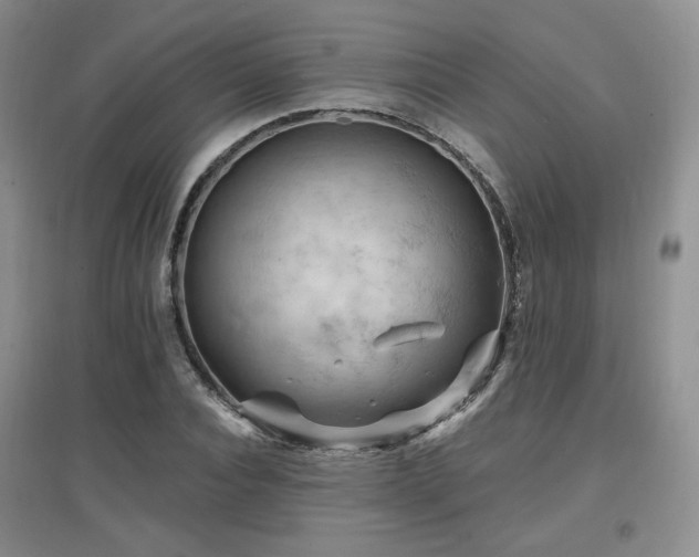 X0000097650928200802291447