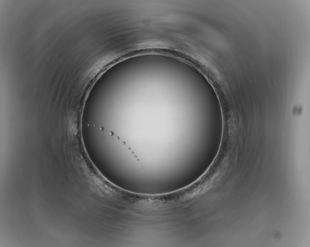 X0000097650929200802291447