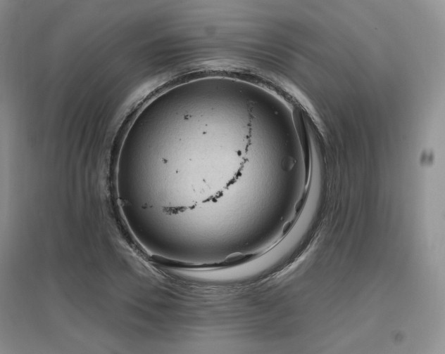 X0000097650930200802291447