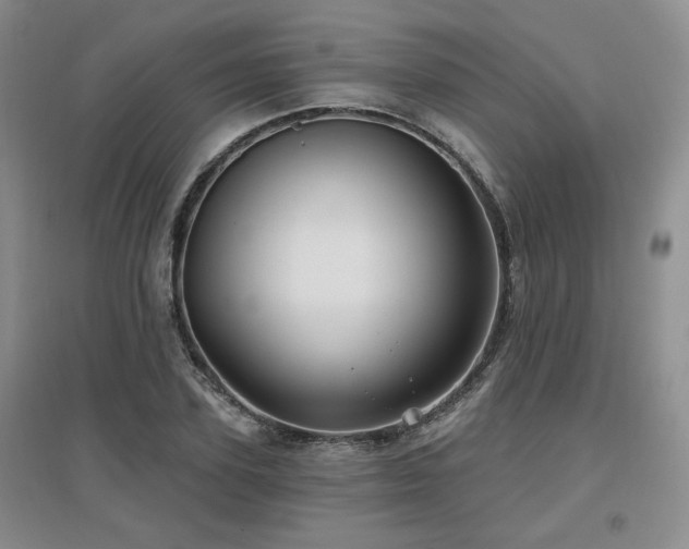 X0000097650931200802291447