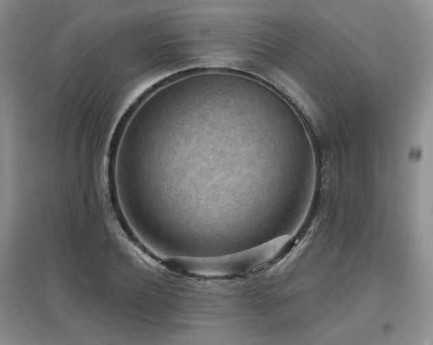 X0000097650932200802291447