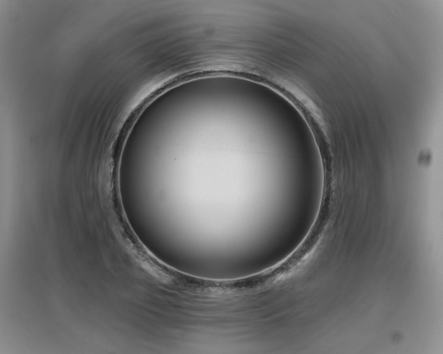 X0000097650933200802291447