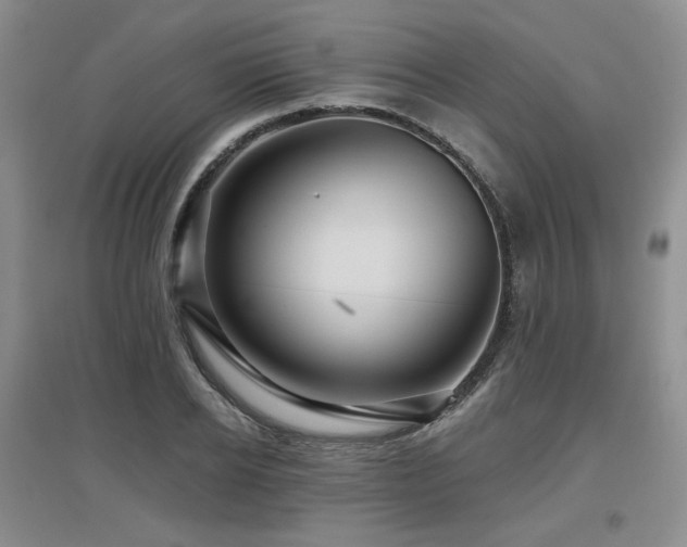 X0000097650934200802291447