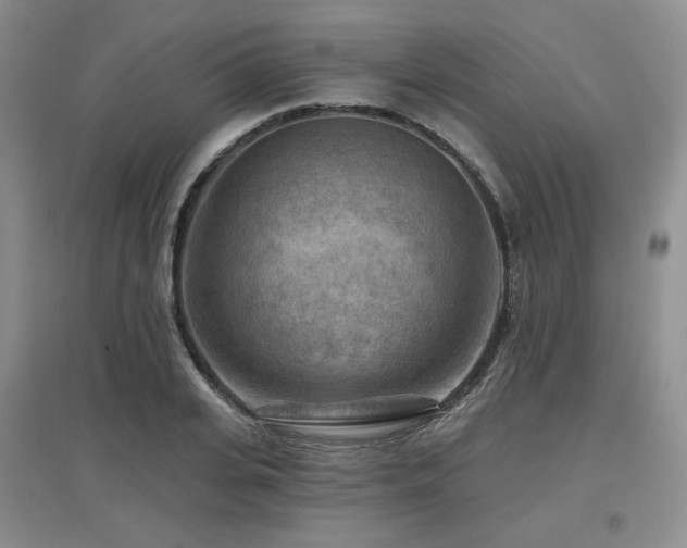 X0000097650935200802291447