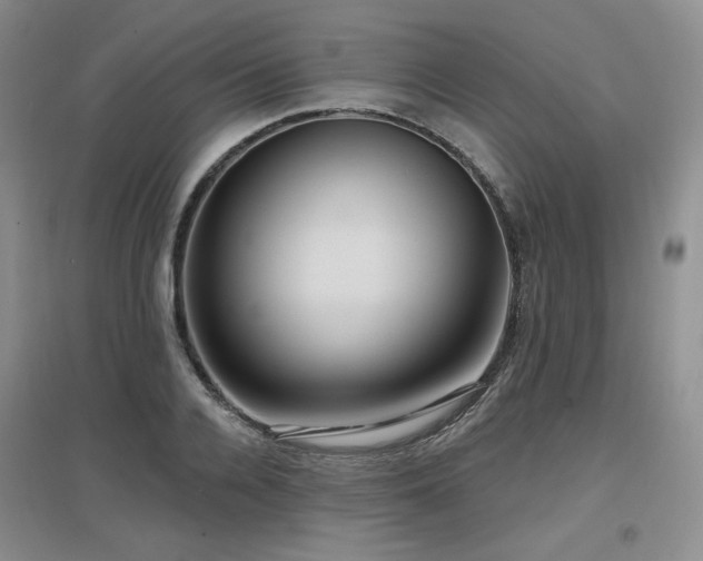 X0000097650936200802291447