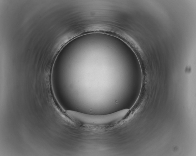 X0000097650937200802291447