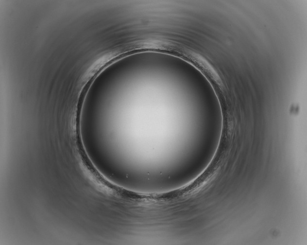 X0000097650938200802291447