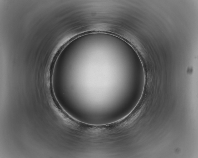 X0000097650939200802291447