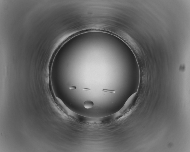 X0000097650940200802291447