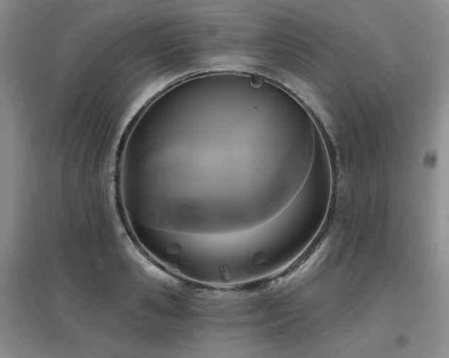 X0000097650941200802291447