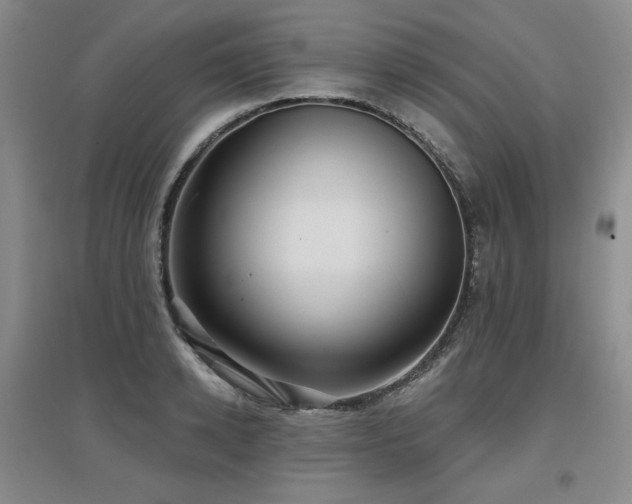 X0000097650942200802291447