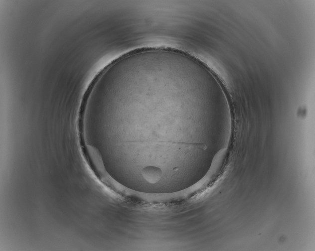 X0000097650943200802291447