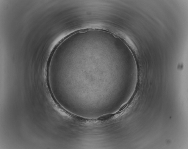 X0000097650944200802291447