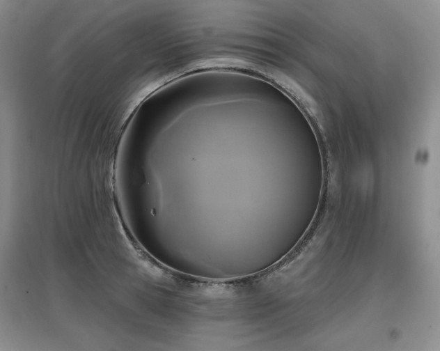 X0000097650945200802291447