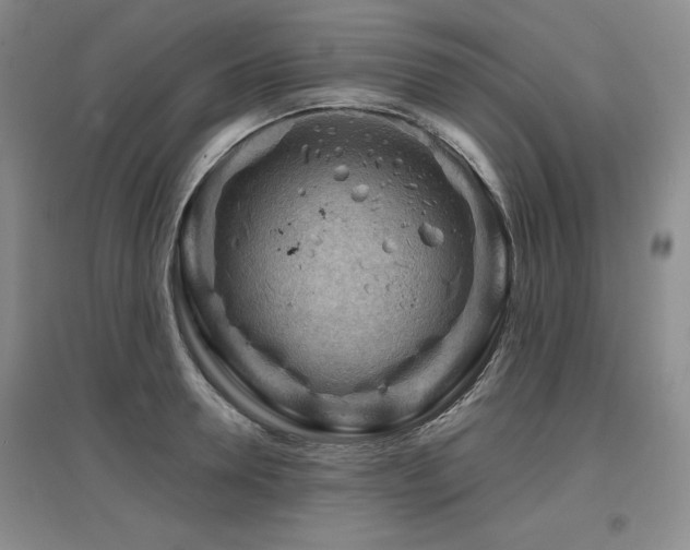 X0000097650946200802291447