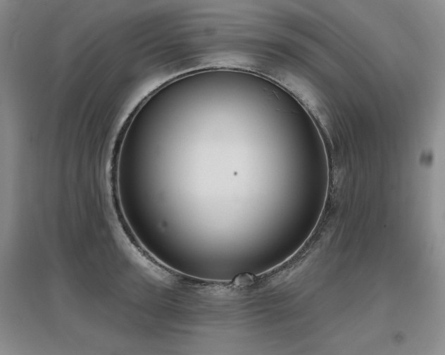 X0000097650947200802291447