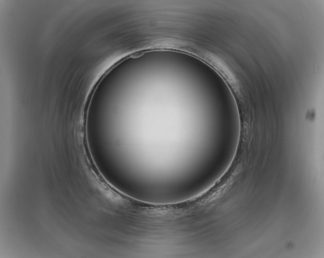 X0000097650948200802291447