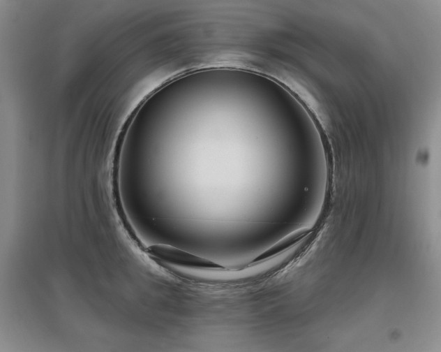 X0000097650949200802291447