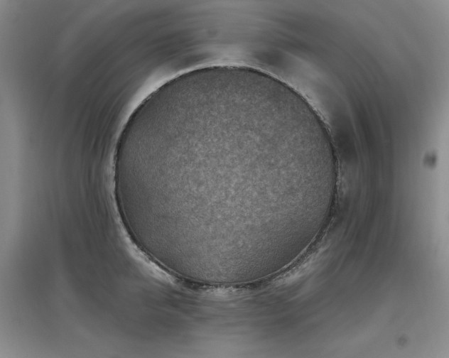 X0000097650950200802291447