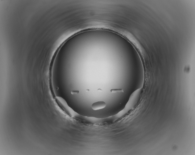 X0000097650951200802291447