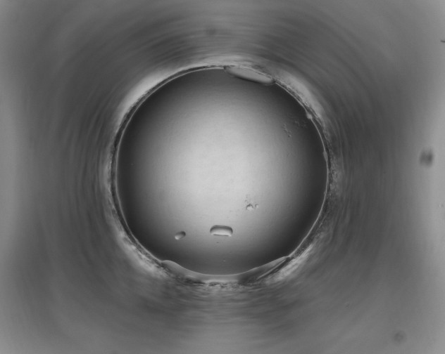 X0000097650952200802291447