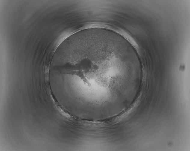 X0000097650953200802291447