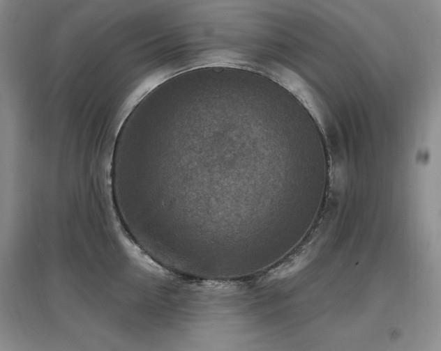 X0000097650954200802291447