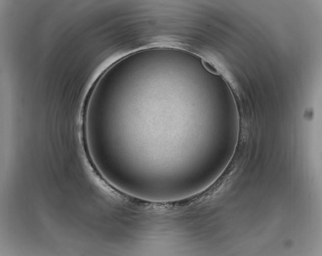 X0000097650955200802291447