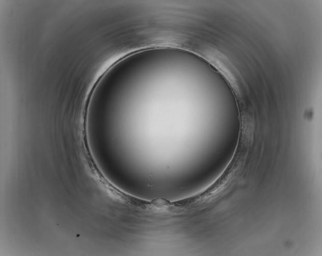 X0000097650956200802291447