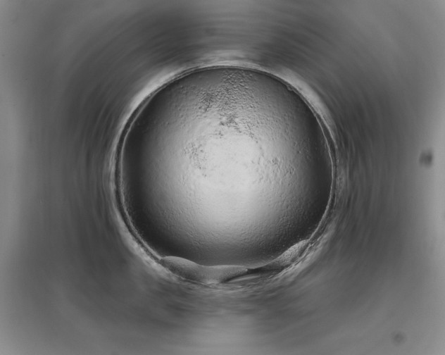 X0000097650957200802291447