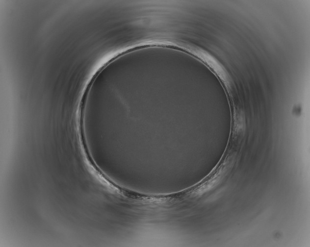 X0000097650958200802291447