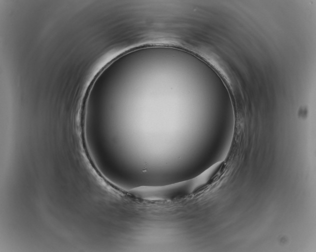 X0000097650959200802291447